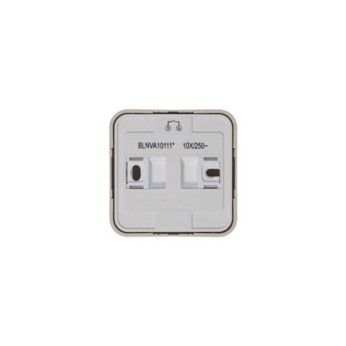 Выключатель 1-кл. ОП Blanca 10А IP20 (сх. 1) 250В с подсветкой с изолир. пластиной беж. SE BLNVA1011