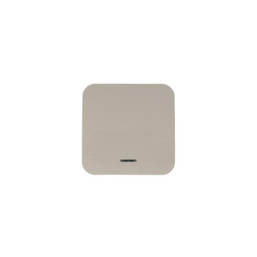 Выключатель 1-кл. ОП Blanca 10А IP20 (сх. 1) 250В с подсветкой с изолир. пластиной беж. SE BLNVA1011