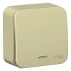 Выключатель 1-кл. ОП Blanca 10А IP20 (сх. 1) 250В с подсветкой с изолир. пластиной беж. SE BLNVA1011