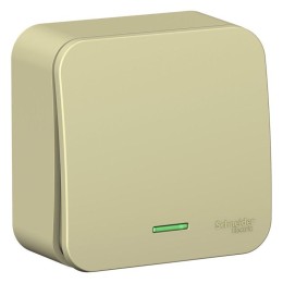 Выключатель 1-кл. ОП Blanca 10А IP20 (сх. 1) 250В с подсветкой с изолир. пластиной беж. SE BLNVA1011