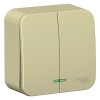 Выключатель 2-кл. ОП Blanca 10А IP20 (сх. 5) 250В с подсветкой с изолир. пластиной беж. SE BLNVA1051