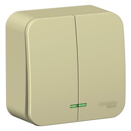 Выключатель 2-кл. ОП Blanca 10А IP20 (сх. 5) 250В с подсветкой с изолир. пластиной беж. SE BLNVA1051