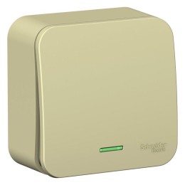 Переключатель проходной 1-кл. ОП Blanca 10А IP20 (сх. 6) 250В с подсветкой с изолир. пластиной беж.