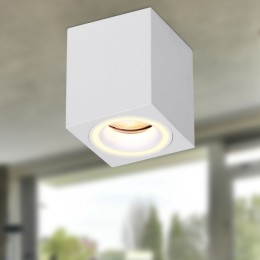 ЭРА Светильник настенно-потолочный спот OL46 WH MR16 GU10 IP20 белый