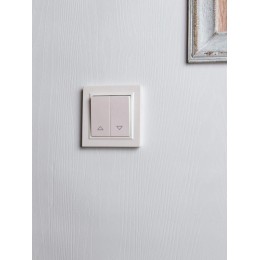 Выключатель жалюзи СП BRITE ВС10-1-5-БрЖ 10А механизм жемчуж. IEK BR-V15-0-10-K36