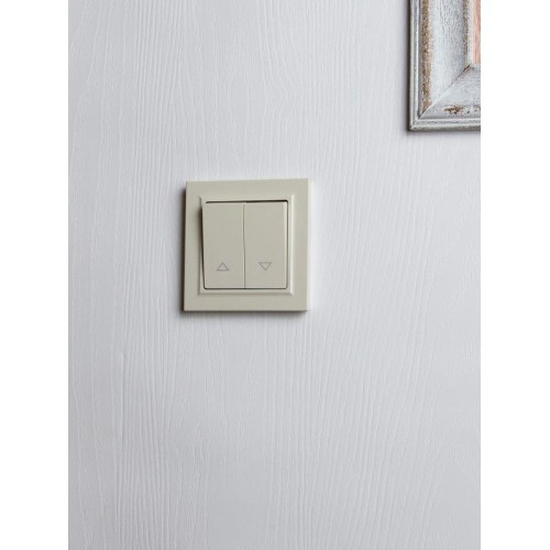 Выключатель жалюзи СП BRITE ВС10-1-5-БрКр 10А механизм беж. IEK BR-V15-0-10-K10