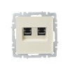 Розетка компьютерная двойн. СП RJ45 кат.5E BRITE РК10-2-БрКр механизм беж. IEK BR-K20-1-K10