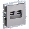 Розетка компьютерная двойн. СП RJ45 кат.5E BRITE РК10-2-БрС механизм сталь IEK BR-K20-1-K46