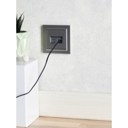 Розетка компьютерная двойн. СП RJ45 кат.5E BRITE РК10-2-БрС механизм сталь IEK BR-K20-1-K46