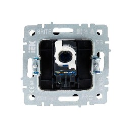 Розетка компьютерная СП RJ45 кат.5E BRITE РК10-БрГ механизм графит IEK BR-K10-1-K53