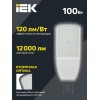 Светильник светодиодный ДКУ 1004-100Ш 3000К IP65 уличный консольный сер. IEK LDKU1-1004-100-3000-K03