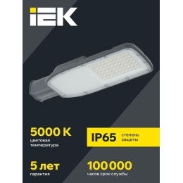 Светильник светодиодный ДКУ 1004-100Ш 5000К IP65 уличный консольный сер. IEK LDKU1-1004-100-5000-K03