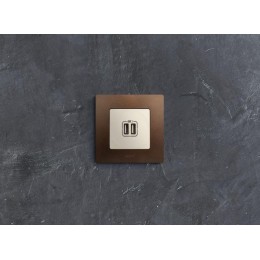 Розетка USB 2-м СП 2мод. Etika 240В/5В 2400мА механизм сл. кость Leg 672394