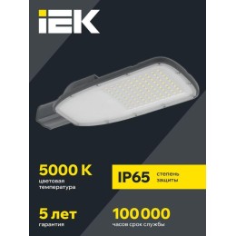 Светильник светодиодный ДКУ 1004-200Ш 5000К IP65 уличный консольный сер. IEK LDKU1-1004-200-5000-K03