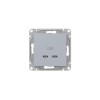 Розетка 2-м СП Эпика USB-C механизм алюм. EKF UP1-SOA-2USBC
