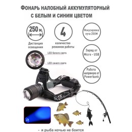 Фонарь налобный аккумуляторный LED5339 3.7В LED+син. LED 5Вт фокус 2 ак. 4 реж USB черн. Ultraflash