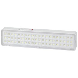 Светильник светодиодный DBA-103-0-20 60LED 5ч IP20 аварийный непостоянный Эра Б0044396